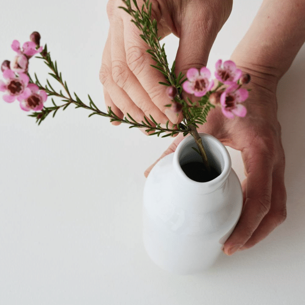 Botanic Vase Wattle A