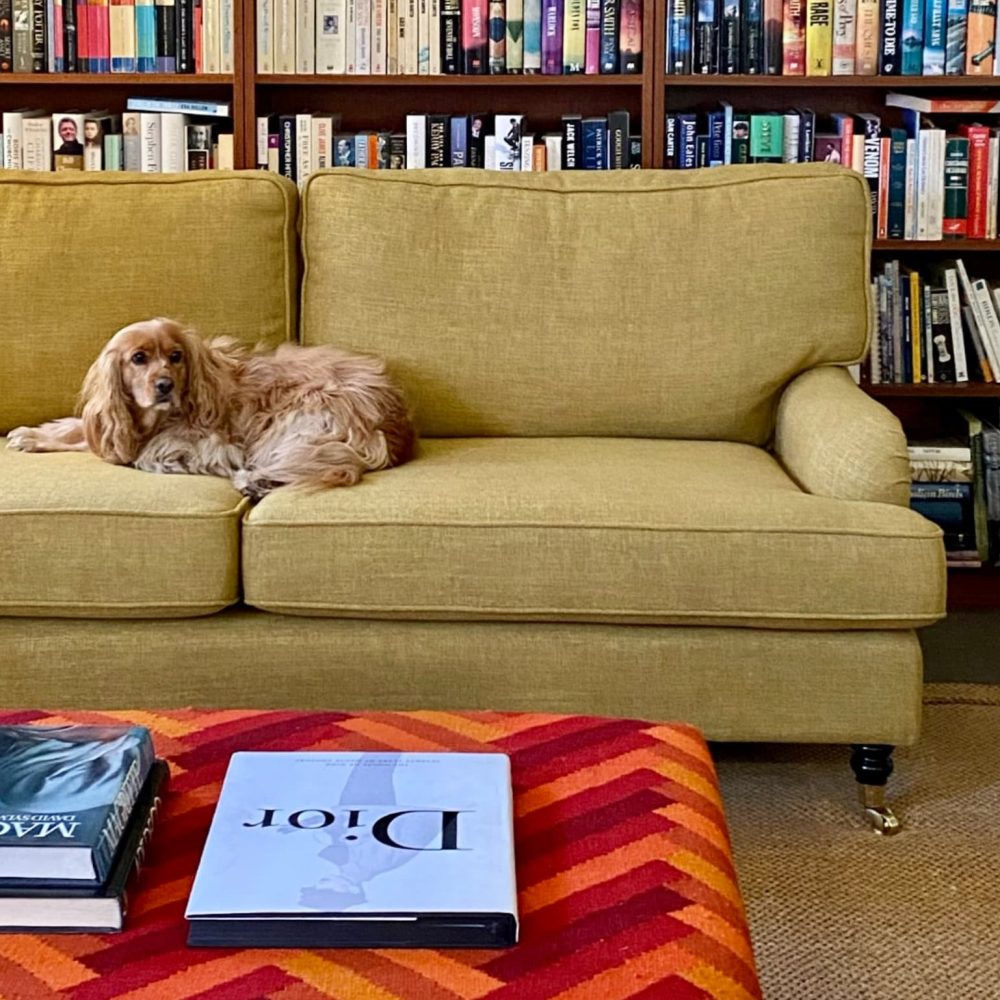 A dog is lying on a yellow couch in a room with bookshelves. A red-orange patterned ottoman with books on top is in the foreground.